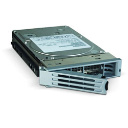 LACIE PERIPHERALS LaCie 500GB Ethernet Disk RAID Spare Drive