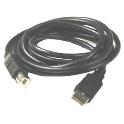 MICRO CONNECTORS Micro Connectors USB Cable - 1 x Type A USB - 1 x Type B USB - 10ft - Black