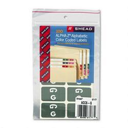 Smead Manufacturing Co. Alpha Z® Color Coded Labels, Second Letter, Gray, Letter G, 100/Pack