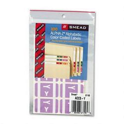 Smead Manufacturing Co. Alpha Z® Color Coded Labels, Second Letter, Lavender, Letter Y, 100/Pack