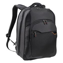 Samsonite PRO-DLX Business Notebook Backpack - 17.7 x 13.8 x 8.9 - Nylon - Black