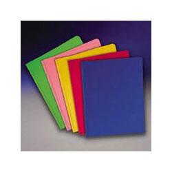 Esselte Pendaflex Corp. Translucent Twin Pocket Poly Portfolios, 8 1/2 x 11, Assorted Colors, 25/Box