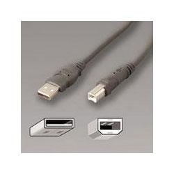 INNOVERA USB Cable, 10 ft., Silver