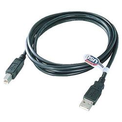 QVS USB 2.0 Type A Male to B Male Cable - 1 x Type A USB - 1 x Type B USB - 6ft - Black