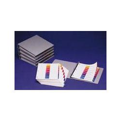 Avery-Dennison Ready Index® Fast Pack 10 Tab Color-24 Sets/Box (AVE11169)