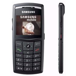 Samsung X820 Triband 2.0 MegaPixel Camera Phone -- Unlocked