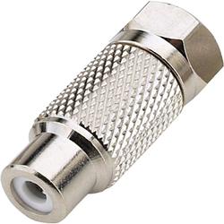 Pico Macom Steren RCA-Female to F-Male Adapter - RCA Female to F-connector Male - Brass