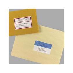 Avery-Dennison TO & FROM Typewriter Mailing Labels, 3 x 4, Light Blue/White, 60 per Pack (AVE05280)