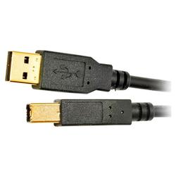 Tripp Lite USB 2.0 Cable - 1 x Type A USB - 1 x Type B USB - 10ft