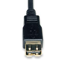 Tripp Lite USB 2.0 Extension Cable - 1 x Type A USB - 1 x Type A USB - 10ft