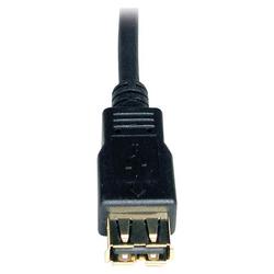 Tripp Lite USB 2.0 Extension Cable - 1 x Type A USB - 1 x Type A USB - 6ft