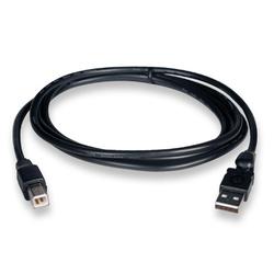Tripp Lite USB A/B Cable - 1 x Type A - 1 x Type B USB - 6ft (U012-006)