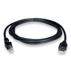 Tripp Lite USB A/B Cable - 1 x Type A - 1 x Type B USB - 6ft (U013-006)