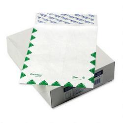 Westvaco Tyvek® First Class Catalog Envelopes, 9 x 12, 100/Box (WEVCO805)