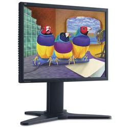 VIEWSONIC DISPLAYS ViewSonic VP2130b 21.3 LCD Monitor - 1000:1, 8ms, 1600x1200 - Black