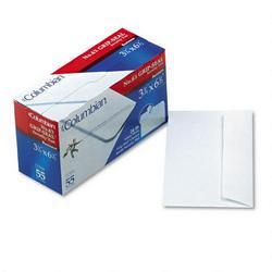 Westvaco White Wove Grip Seal® Business Envelopes, #6-3/4, Inside Tint, 55/Box (WEVCO140)