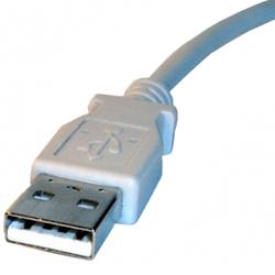 WIEBETECH WiebeTech USB Cable - 1 x Type A - 1 x Type A USB - 6.56ft - Beige