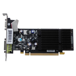 XFX GeForce 8400GS 450Mhz 256MB PCI Express x16 Video Card