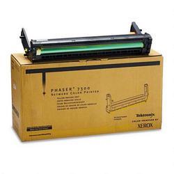 Xerox Corporation Xerox Imaging Drum for Phaser 7300 Color Printer - Yellow