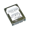 CMS Products 160 GB 5400 RPM Easy-Plug Easy-Go Serial ATA Internal Hard Drive for Notebooks