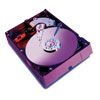 Western Digital 320 GB 7200 RPM Caviar RE WD3200SB EIDE Internal Hard Drive