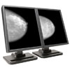 Planar Dome E5 Grayscale Dual Head Flat Panel Medical Display with DX2 PCI Video Board / Dome CXtra Calibration Software