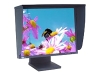 LaCie 321 21.3 in Flat Panel LCD Monitor with Height Adjustable Stand