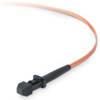 Belkin Inc MTRJ/MTRJ Multimode 62.5/125 Duplex Fiber Patch Cable - 3.28 ft