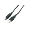 StarTech.com Male-to-Male USB 2.0 A/B Cable - 15 ft
