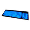 Adesso Multimedia Illuminated PS/2 Keyboard