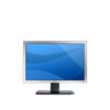 DELL SE198WFP 19-inch Widescreen Silver Flat Panel LCD Monitor