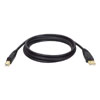 TrippLite U022-006 USB 2.0 Gold Cable - 6 ft