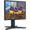 ViewSonic VP930B 19 in Flat Panel LCD Monitor with Height Adjustable Stand