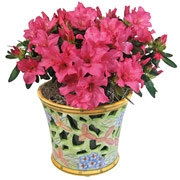 4" Floral Vase with Azaleas