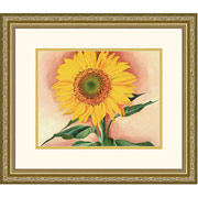"A Sunflower from Maggie" Framed Print