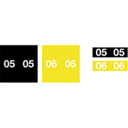 Ames Color-File  Year-Code Labels, 2006, Yellow, 1/2" x 1 3/4"
