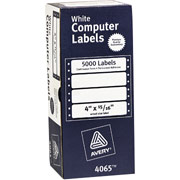 Avery 4065 White Pin-Fed Computer Labels, 4" x 15/16"
