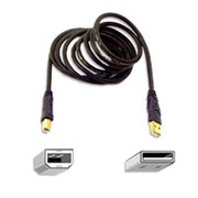 Belkin 6' USB A/B Gold Cable