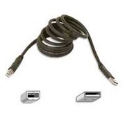 Belkin Pro Series USB Device Cable, 6'