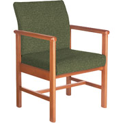 Global Health Care Ryan Chair, Ultra-Premium Saucy Fabric