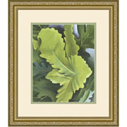"Green Oak Leaves" Framed Print