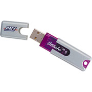 PNY 1GB Attache USB Flash Drive