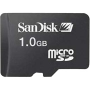 SanDisk 1GB microSD Card