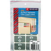 Smead Alpha-Z Color-Coded Alphabetical Labels Second Letter Package Set, G, Gray