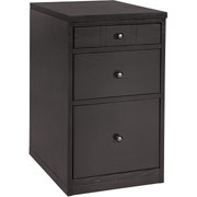 Staples Apothecary Mobile File, Black Finish