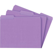 Staples Interior File Folders, Letter, Purple, 100/Box