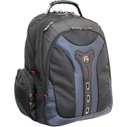 SwissGear Pegasus Computer Backpack