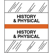 Tabbies Medical Chart Index Divider Sheet Tabs, History & Physical, Orange