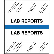 Tabbies Medical Chart Index Divider Sheet Tabs, Lab Reports, Lt. Blue