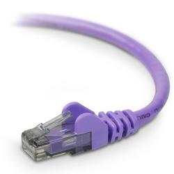 BELKIN COMPONENTS Belkin Cat. 6 UTP Patch Cable - 1 x RJ-45 - 1 x RJ-45 - 1ft - Purple